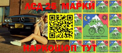 кокс Кингисепп