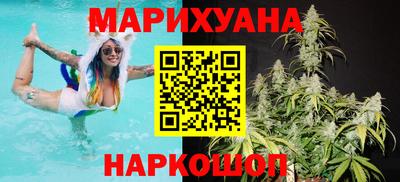 кокс Кингисепп