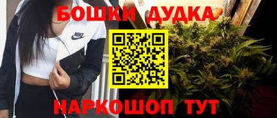 кокс Кингисепп