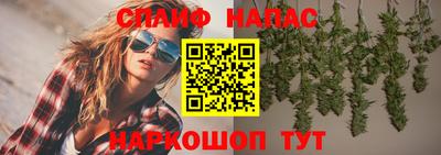 кокс Кингисепп