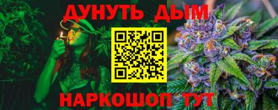 кокс Кингисепп