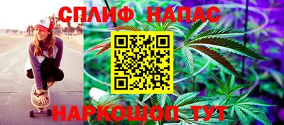 кокс Кингисепп
