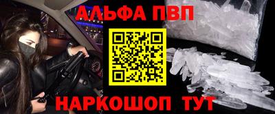 кокс Кингисепп